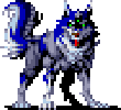 Pascal the dog